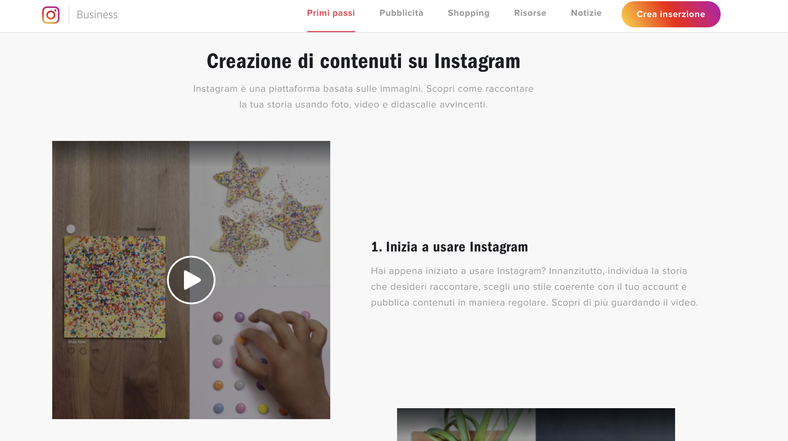 primi passi instagram per aziende